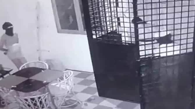 ತಿರುಪತಿಯಲ್ಲಿ ಆತಂಕ ಸೃಷ್ಟಿಸಿದ ಚೆಡ್ಡಿ ಗ್ಯಾಂಗ್