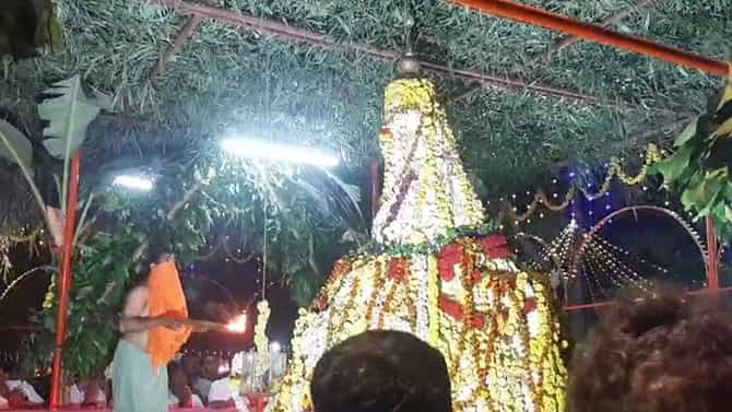 ವೈಜ್ಞಾನಿಕ ಲೋಕಕ್ಕೆ ಸವಾಲಾದ ಮಲೆನಾಡ 16 ಅಡಿ ಎತ್ತರದ ಹುತ್ತ