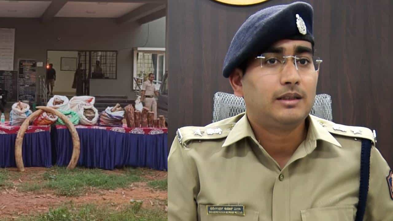 ಆರು ಕಳ್ಳರನ್ನು ಖೆಡ್ಡಾಕ್ಕೆ ಕೆಡವಿದ ಚಿತ್ರಹಳ್ಳಿ ಪೊಲೀಸರು; ಶ್ರೀಗಂಧ, ರಕ್ತ ಚಂದನ, ಆನೆ ದಂತ, ಪೆಂಗೋಲಿನ್ ಚಿಪ್ಪುಗಳು ವಶಕ್ಕೆ ಆರು ಕಳ್ಳರನ್ನು ಖೆಡ್ಡಾಕ್ಕೆ ಕೆಡವಿದ ಚಿತ್ರಹಳ್ಳಿ ಪೊಲೀಸರು; ಶ್ರೀಗಂಧ, ರಕ್ತ ಚಂದನ, ಆನೆ ದಂತ, ಪೆಂಗೋಲಿನ್ ಚಿಪ್ಪುಗಳು ವಶಕ್ಕೆ