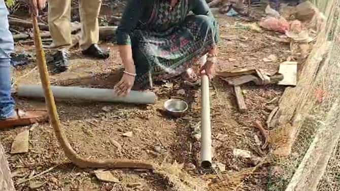 ಆನೇಕಲ್: ಬಲೆಯಲ್ಲಿ ಸಿಲುಕಿದ್ದ ನಾಗರ ಹಾವಿನ ರಕ್ಷಣೆ, ಇಲ್ಲಿದೆ ವಿಡಿಯೋ
