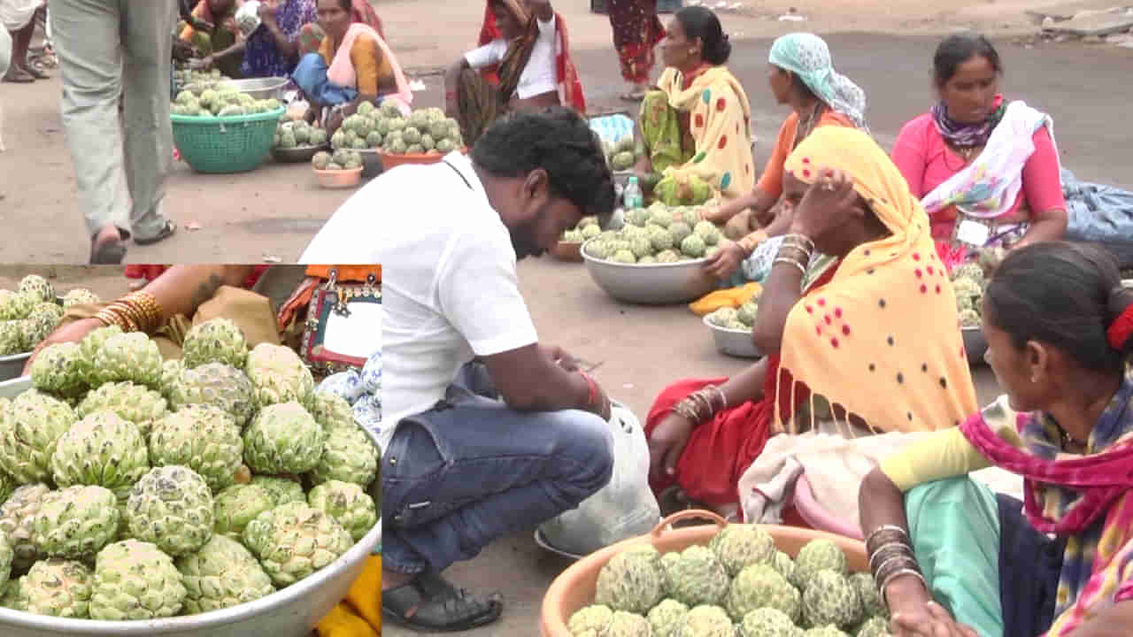 ಸೀತಾಫಲ ಹಣ್ಣಿನ ತವರು ಜಿಲ್ಲೆ ಯಾದಗಿರಿಯಲ್ಲಿ 2 ತಿಂಗಳ ಕಾಲ ಗ್ರಾಹಕರು-ಮಾರಾಟಗಾರರಿಗೆ ಸುಗ್ಗಿ ಸಂಭ್ರಮ, ಒಂದು ನೋಟ ಇಲ್ಲಿದೆ