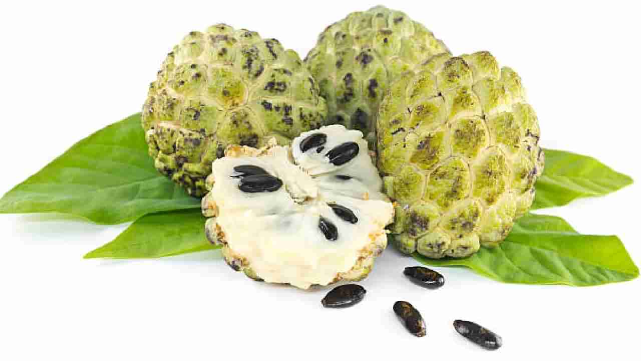 Custard Apple: ಚಳಿಗಾಲದ ಹಣ್ಣು ಸೀತಾಫಲ ತಿನ್ನುವುದರಿಂದ ಏನು ಉಪಯೋಗ?