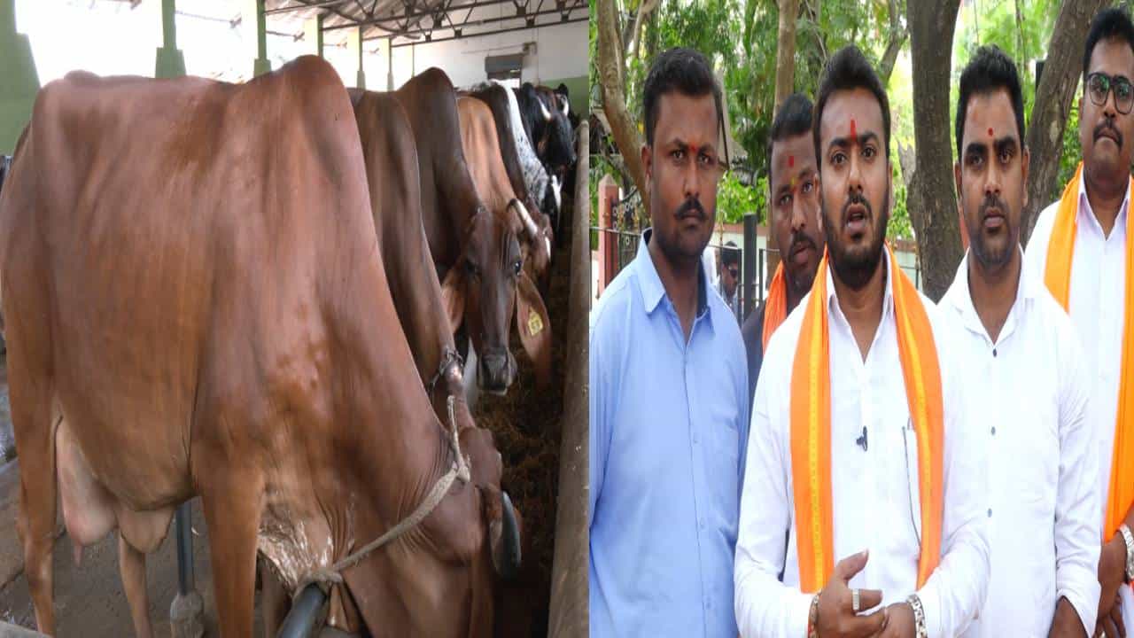 ಧಾರವಾಡ: ಕೃಷಿ ವಿಶ್ವವಿದ್ಯಾಲಯದ ಜಾನುವಾರುಗಳ ಬಹಿರಂಗ ಹರಾಜಿಗೆ ನಿರ್ಧಾರ; ಹಿಂದೂಪರ ಸಂಘಟನೆಗಳಿಂದ ವಿರೋಧ ಧಾರವಾಡ: ಕೃಷಿ ವಿಶ್ವವಿದ್ಯಾಲಯದ ಜಾನುವಾರುಗಳ ಬಹಿರಂಗ ಹರಾಜಿಗೆ ನಿರ್ಧಾರ; ಹಿಂದೂಪರ ಸಂಘಟನೆಗಳಿಂದ ವಿರೋಧ