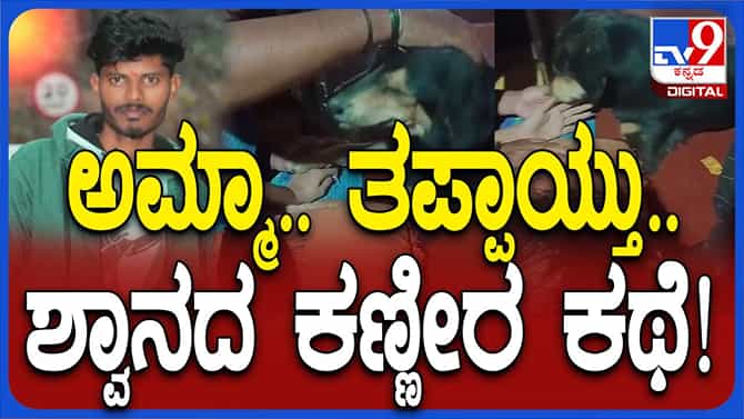 ಅಪಘಾತಕ್ಕೆ ಕಾರಣವಾದ ನಾಯಿ ಮೃತನ ಮನೆಗೆ ಹೋಗಿ ಪಶ್ಚಾತ್ತಾಪ ವ್ಯಕ್ತಪಡಿಸಿತೇ? 