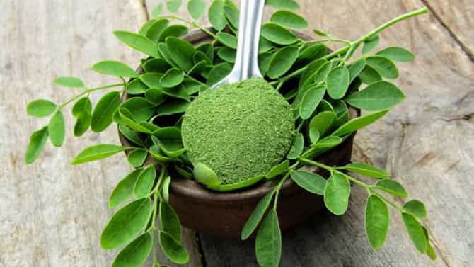ನುಗ್ಗೆ ಸೊಪ್ಪಿನಿಂದ ಹೇಗೆ ತೂಕ ಇಳಿಸಿಕೊಳ್ಳಲು ಸಾಧ್ಯ?