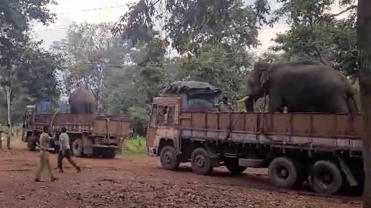 ಇಬ್ಬರನ್ನು ಬಲಿ ಪಡೆದ ಒಂಟಿ ಸಲಗ ಸೆರೆಗೆ ಸರ್ಕಾರ ಆದೇಶ: ಬೇರೆ-ಬೇರೆ ಶಿಬಿರಗಳಿಂದ ಬಂದ ಗಜಪಡೆ ಇಬ್ಬರನ್ನು ಬಲಿ ಪಡೆದ ಒಂಟಿ ಸಲಗ ಸೆರೆಗೆ ಸರ್ಕಾರ ಆದೇಶ: ಬೇರೆ-ಬೇರೆ ಶಿಬಿರಗಳಿಂದ ಬಂದ ಗಜಪಡೆ