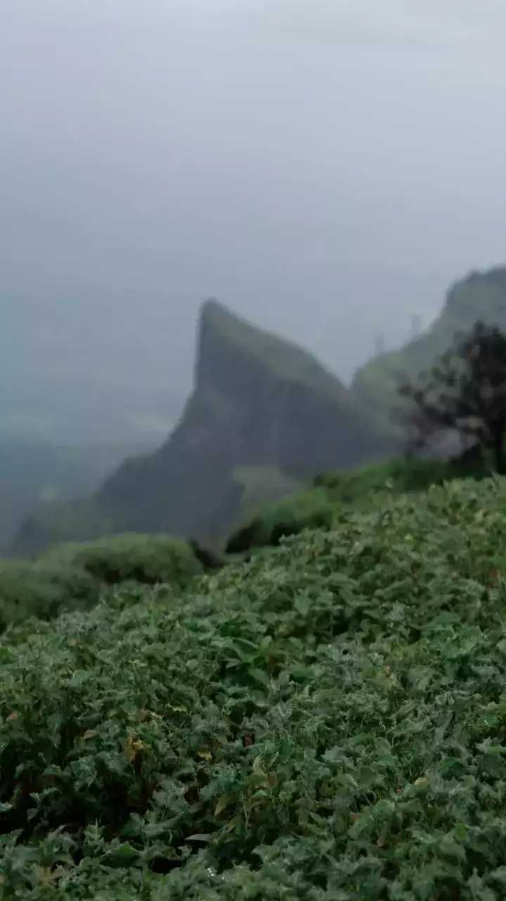 Famous places of South India which are listed in UNESCO (3)