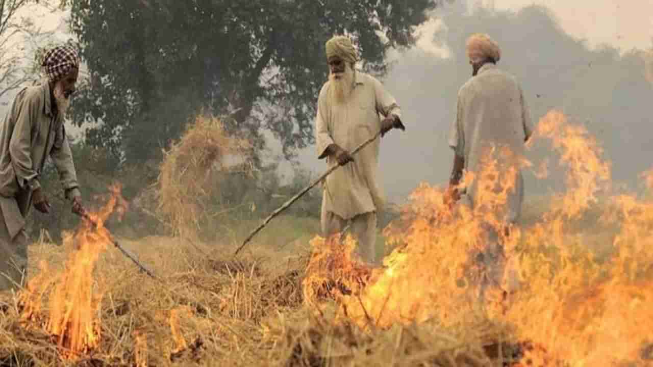 ಪಂಜಾಬ್: ಕೃಷಿ ತ್ಯಾಜ್ಯ ಸುಡುವಿಕೆ ಪ್ರಕರಣ ಮತ್ತಷ್ಟು ಏರಿಕೆ