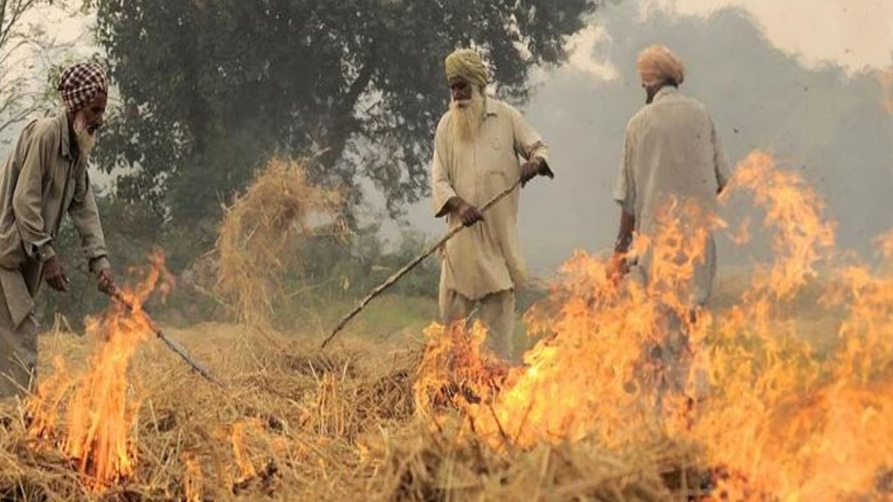 ಪಂಜಾಬ್: ಕೃಷಿ ತ್ಯಾಜ್ಯ ಸುಡುವಿಕೆ ಪ್ರಕರಣ ಮತ್ತಷ್ಟು ಏರಿಕೆ