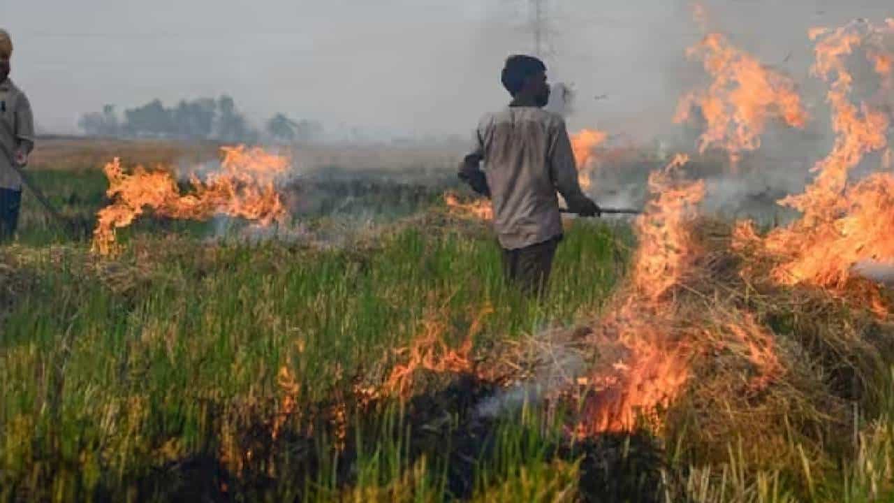 Delhi Air Pollution: ದೆಹಲಿ ವಾಯು ಮಾಲಿನ್ಯ, ಪಂಜಾಬ್ಗೆ ಸುಪ್ರೀಂ ಛೀಮಾರಿ, ಹುಲ್ಲು ಸುಡುವುದನ್ನು ನಿಲ್ಲಿಸಲು ಸೂಚನೆ Delhi Air Pollution: ದೆಹಲಿ ವಾಯು ಮಾಲಿನ್ಯ, ಪಂಜಾಬ್ಗೆ ಸುಪ್ರೀಂ ಛೀಮಾರಿ, ಹುಲ್ಲು ಸುಡುವುದನ್ನು ನಿಲ್ಲಿಸಲು ಸೂಚನೆ