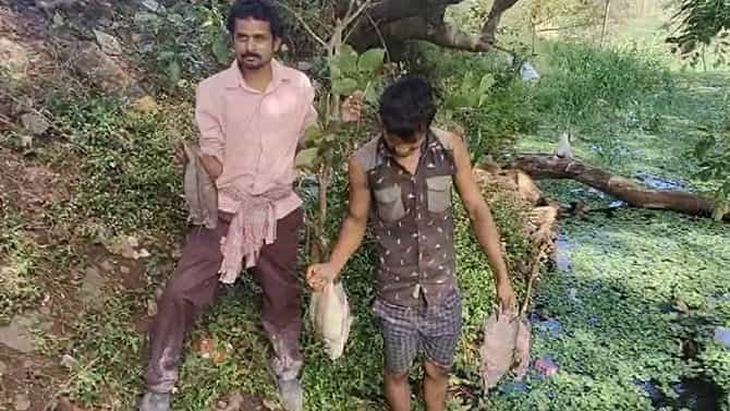 ಆನೇಕಲ್: ಕೆರೆಗೆ ಹರಿಬಿಟ್ಟ ಕಲುಷಿತ ನೀರು; ಮೀನುಗಳ ಮಾರಣಹೋಮ