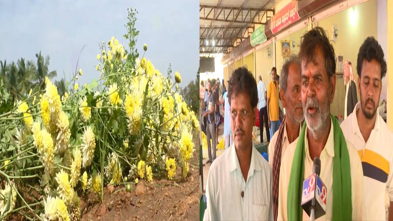 ಗದಗ: ದೀಪಾವಳಿ ಹಬ್ಬಕ್ಕೆಂದು ಬೆಳೆದ ಹೂವು; ಗಾಳಿ, ಮಳೆಗೆ ಸಂಪೂರ್ಣ ನಾಶ ಗದಗ: ದೀಪಾವಳಿ ಹಬ್ಬಕ್ಕೆಂದು ಬೆಳೆದ ಹೂವು; ಗಾಳಿ, ಮಳೆಗೆ ಸಂಪೂರ್ಣ ನಾಶ