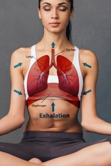 Gemini health 2