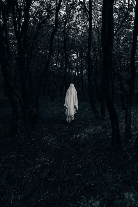 Ghost 1