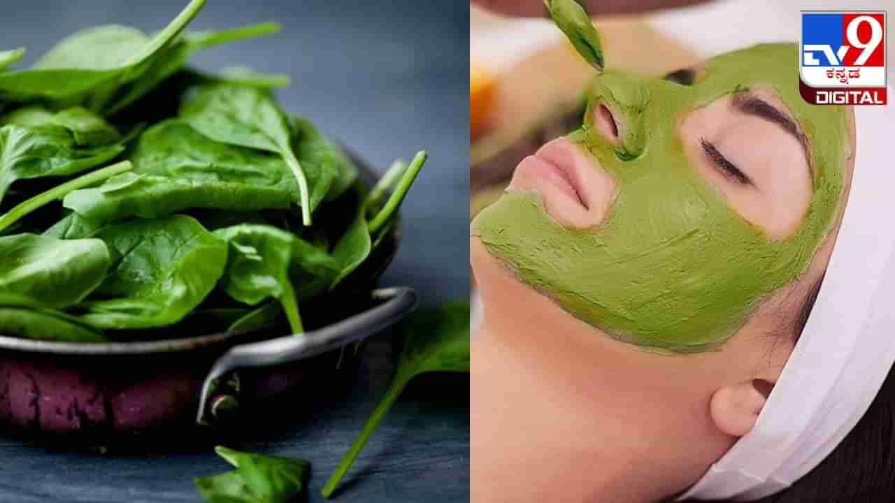 Spinach face mask: ಒಂದು ವಾರದಲ್ಲೇ ಮೊಡವೆ ಸಮಸ್ಯೆ ಹೋಗಲಾಡಿಸಲು ಪುದೀನಾ ಫೇಸ್ ಪ್ಯಾಕ್