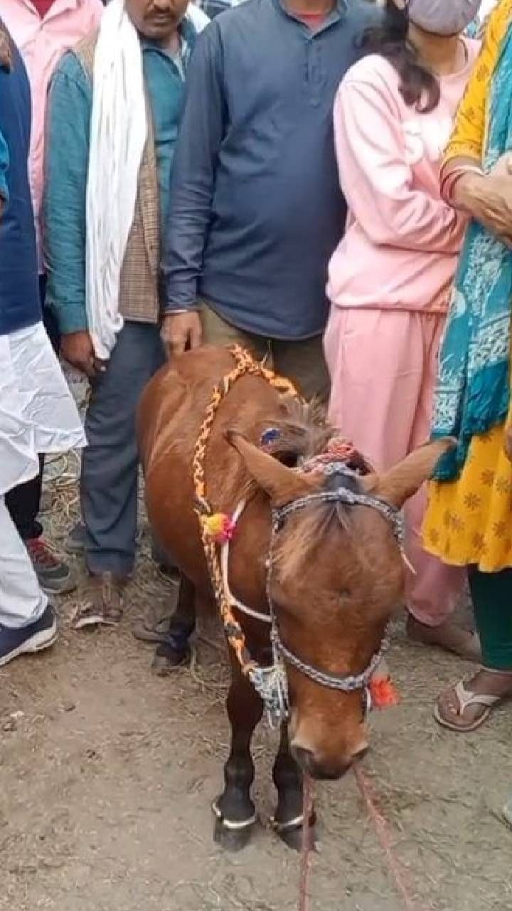ಸಹರ್ಸಾ ಜಿಲ್ಲೆಯ ಭತನ್​ ಭಗತ್ ಅವರು 25 ಕುದುರೆಗಳೊಂದಿಗೆ ಬಂದಿದ್ದಾರೆ.