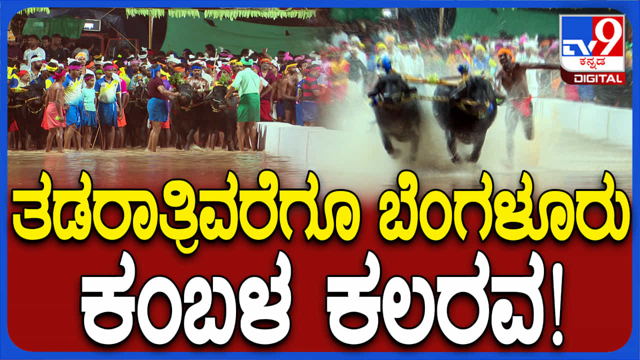 ಬೆಂಗಳೂರು ಕಂಬಳಕ್ಕೆ ತೆರೆ, ಫೈನಲ್ನಲ್ಲಿ ಚಿನ್ನ ಬೇಟೆಯಾಡಿದ ಕೋಣಗಳ ವಿವರ ಇಲ್ಲಿದೆ ಬೆಂಗಳೂರು ಕಂಬಳಕ್ಕೆ ತೆರೆ, ಫೈನಲ್ನಲ್ಲಿ ಚಿನ್ನ ಬೇಟೆಯಾಡಿದ ಕೋಣಗಳ ವಿವರ ಇಲ್ಲಿದೆ