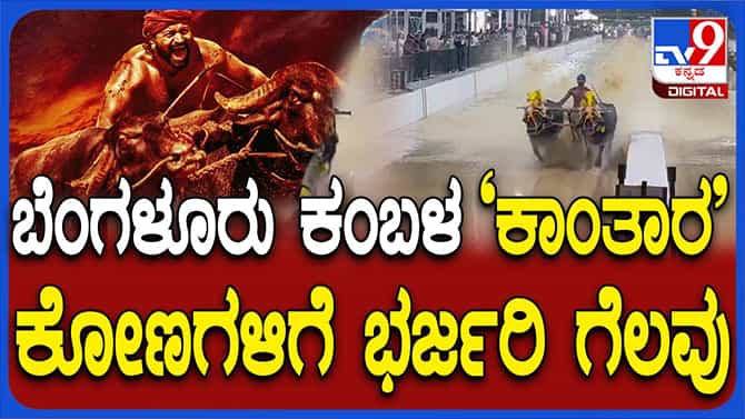 ಕಾಂತಾರ ಸಿನಿಮಾ ಖ್ಯಾತಿಯ ಕಿಟ್ಟು-ಅಪ್ಪು ಕೋಣಗಳಿಗೆ ರಣಹಲಗೆ ವಿಭಾಗದ ಚಿನ್ನ