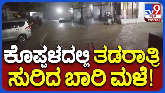 ಬುಧವಾರ ರಾತ್ರಿ ಕೊಪ್ಪಳ ಜಿಲ್ಲೆಯಲ್ಲಿ ಭಾರೀ ಮಳೆ, ಕಂಗಾಲಾಗಿದ್ದ ರೈತ ನಿರಾಳ