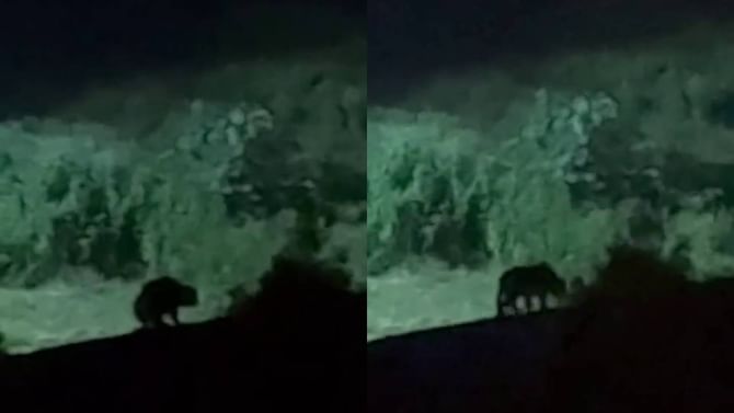 Leopard in Bengaluru: ಕಾರ್ಯಾಚರಣೆ ನಡೆಸಿದ ಸ್ಥಳದಲ್ಲೇ ಚಿರತೆ ಪ್ರತ್ಯಕ್ಷ