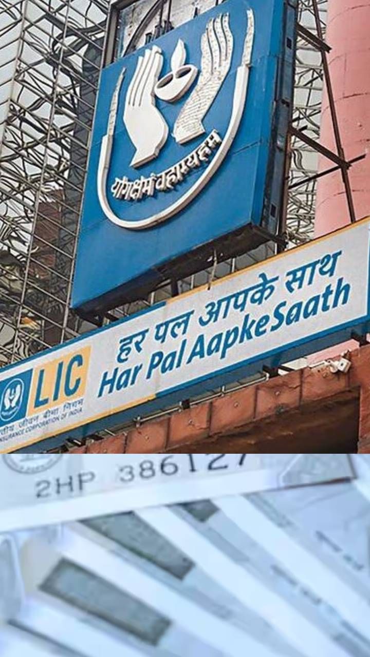 ಎಲ್​ಐಸಿ ನ್ಯೂ ಎಂಡೋಮೆಂಟ್ ಪ್ಲಸ್ ಯೂನಿಟ್ ಲಿಂಕ್ಡ್ ಪಾಲಿಸಿಯಾಗಿದೆ. ವಾರ್ಷಿಕ ಪ್ರೀಮಿಯಮ್​ನ 10 ಪಟ್ಟು ಹಣವು ಕನಿಷ್ಠ ಖಾತ್ರಿ ಮೊತ್ತ.