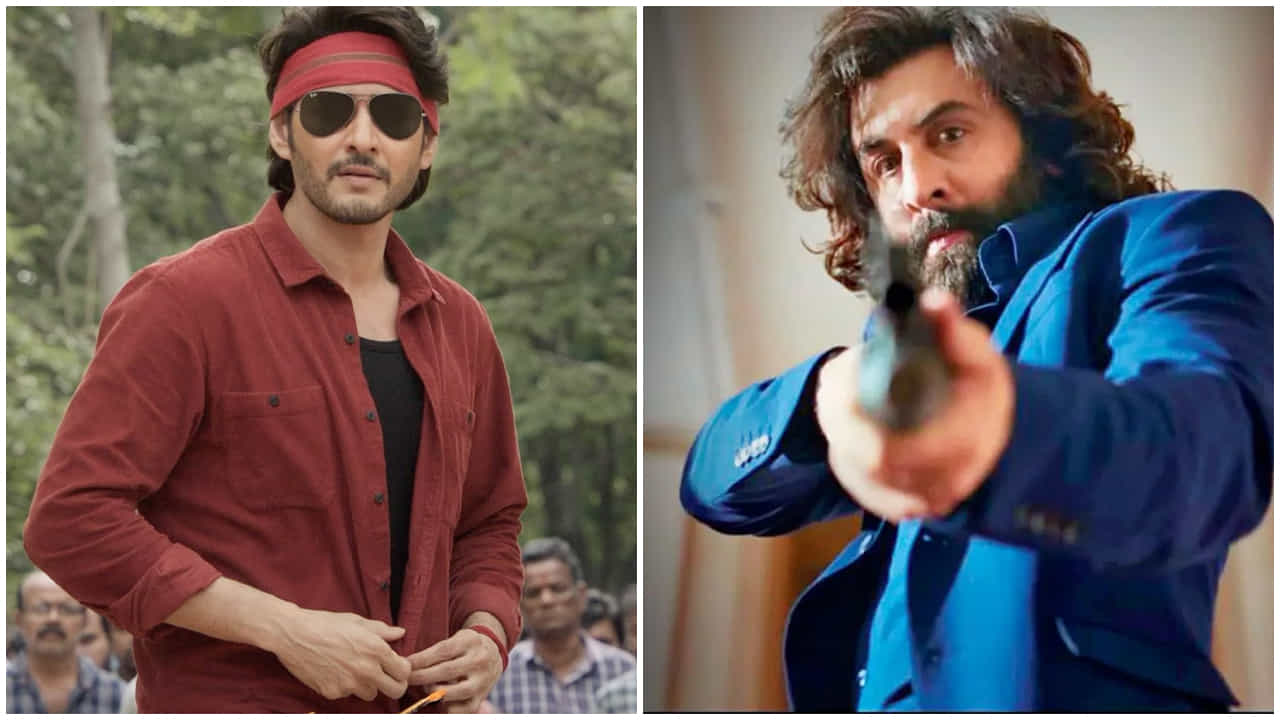 Ranbir Kapoor: ‘ರಣಬೀರ್ ಕಪೂರ್ ಅವರೇ ಭಾರತದ ಬೆಸ್ಟ್ ನಟ’: ‘ಅನಿಮಲ್’ ಹೀರೋಗೆ ಮಹೇಶ್ ಬಾಬು ಮೆಚ್ಚುಗೆ Ranbir Kapoor: ‘ರಣಬೀರ್ ಕಪೂರ್ ಅವರೇ ಭಾರತದ ಬೆಸ್ಟ್ ನಟ’: ‘ಅನಿಮಲ್’ ಹೀರೋಗೆ ಮಹೇಶ್ ಬಾಬು ಮೆಚ್ಚುಗೆ