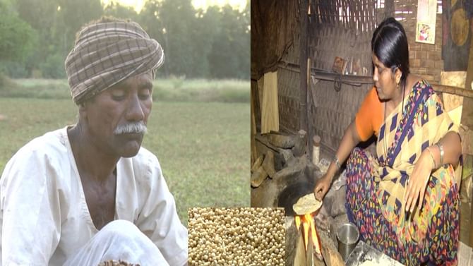 ದಿನದಿಂದ ದಿನಕ್ಕೆ ಹೆಚ್ಚಾಗುತ್ತಲೇ ಇದೇ ಜೋಳದ ರೇಟ್; ಬೆಲೆ ಕೇಳಿ ಶಾಕ್ ದಿನದಿಂದ ದಿನಕ್ಕೆ ಹೆಚ್ಚಾಗುತ್ತಲೇ ಇದೇ ಜೋಳದ ರೇಟ್; ಬೆಲೆ ಕೇಳಿ ಶಾಕ್
