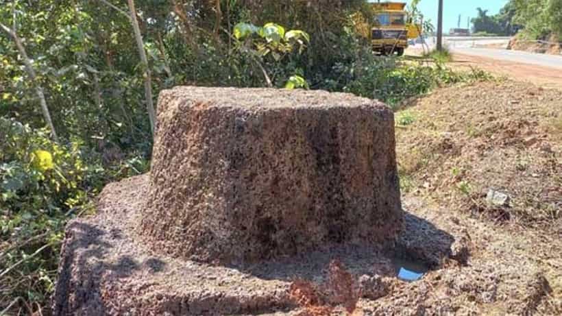 ಮಂಗಳೂರು: ಕೆತ್ತಿಕಲ್ನಲ್ಲಿ 500 ವರ್ಷ ಇತಿಹಾಸವಿರುವ ಅಪರೂಪದ ಕಲ್ಲು ಪತ್ತೆ