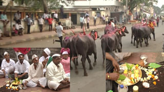 ತುಳುನಾಡಿನಲ್ಲಿ ರಾಜ ಬಲಿಯೇಂದ್ರನನ್ನು ಕೂ ಎಂದು ಪ್ರತಿಧ್ವನಿಸುತ್ತಾ ಸ್ವಾಗತ ಕೋರುವುದು- ದೀಪಾವಳಿ ಸಮಯದಲ್ಲಿ ನಡೆಯುತ್ತದೆ ಆ ಅಸಂಭವನೀಯ ಆಚರಣೆ