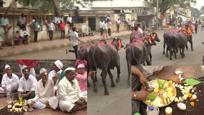 ವಿಜಯಪುರ ಗೌಳಿಗರು ದೀಪಾವಳಿಯನ್ನು ವಿಭಿನ್ನವಾಗಿ ಆಚರಿಸುತ್ತಾರೆ!