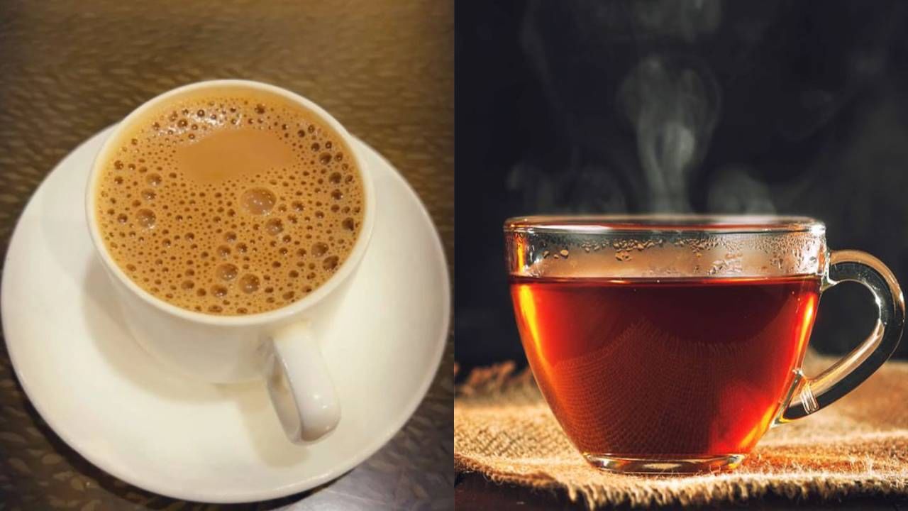 Milk tea or Black tea: ಮಿಲ್ಕ್ ಟೀ ಅಥವಾ ಬ್ಲ್ಯಾಕ್ ಟೀ ಯಾವುದು ಆರೋಗ್ಯಕ್ಕೆ ಉತ್ತಮ?