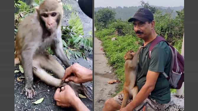 ಹಗ್ಗ ಬಿಚ್ಚಿ ಕೋತಿಯನ್ನು ರಕ್ಷಿಸಿದವನನ್ನೇ ಅನುಮಾನಿಸಿದ ನೆಟ್ಟಿಗರು