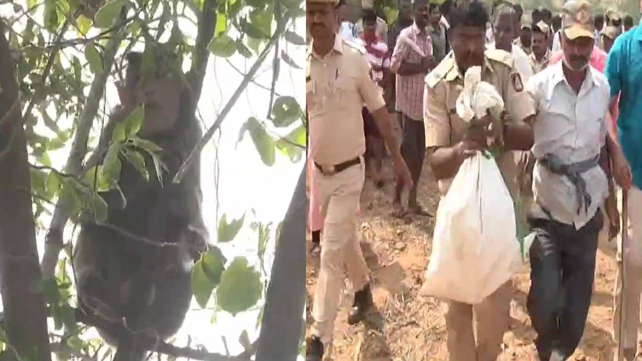 ದಾವಣಗೆರೆ: ವ್ಯಕ್ತಿಯನ್ನು ಕೊಂದ ಮಂಗ ಕೊನೆಗೂ ಸೆರೆ ದಾವಣಗೆರೆ: ವ್ಯಕ್ತಿಯನ್ನು ಕೊಂದ ಮಂಗ ಕೊನೆಗೂ ಸೆರೆ