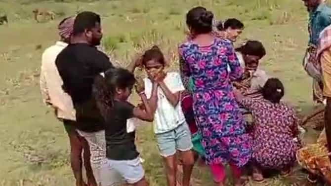 ಹಸು, ಕರುವಿನ ಮೇಲೆ ಹುಲಿ ದಾಳಿ; ಬಿಡಿಸಲು ಹೋದವನ ಮೇಲೂ ಎರಗಿದ ವ್ಯಾಘ್ರ