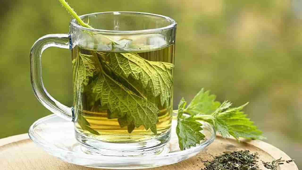 Nettle Tea: ಹೃದಯದ ಆರೋಗ್ಯಕ್ಕೆ ನೆಟಲ್ ಟೀ ಕುಡಿಯಿರಿ