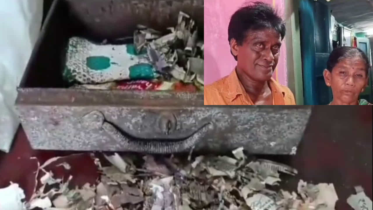 ಹೆಣ್ಣು ಮಗಳ ಮದುವೆಗಾಗಿ ಕೂಡಿಟ್ಟಿದ್ದ ಹಣದ ಗಂಟು ಕೈ ತಪ್ಪಿದೆ.. ಅಜ್ಜ-ಅಜ್ಜಿ ಕಣ್ಣೀರು