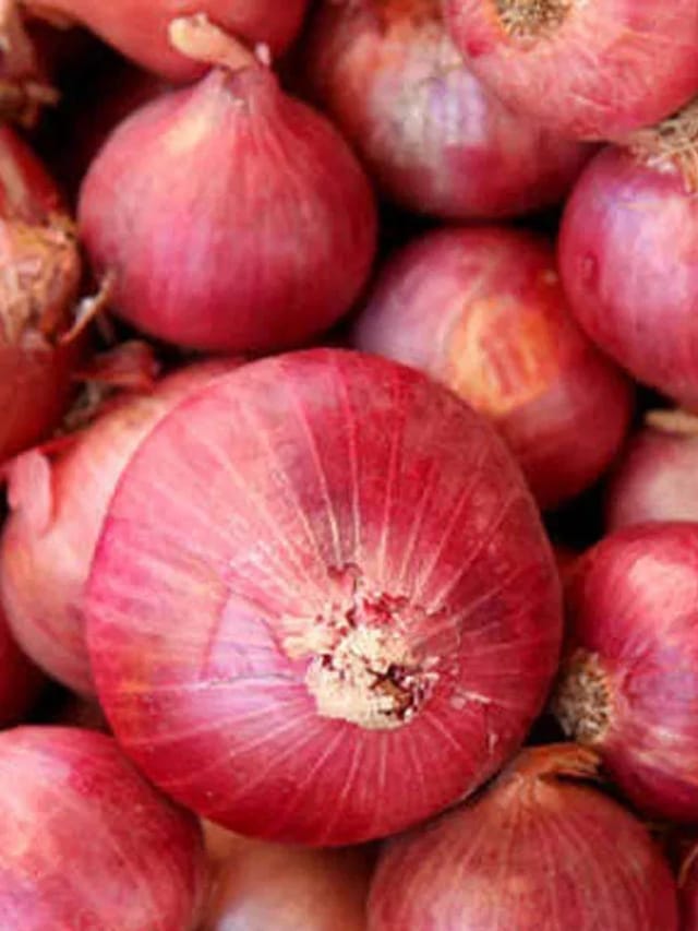 ಗದಗ ಜಿಲ್ಲೆಯಲ್ಲಿ‌ ಈರುಳ್ಳಿ ಕಳ್ಳರ ಹಾವಳಿಗೆ ಬೆಚ್ಚಿದ ರೈತರು