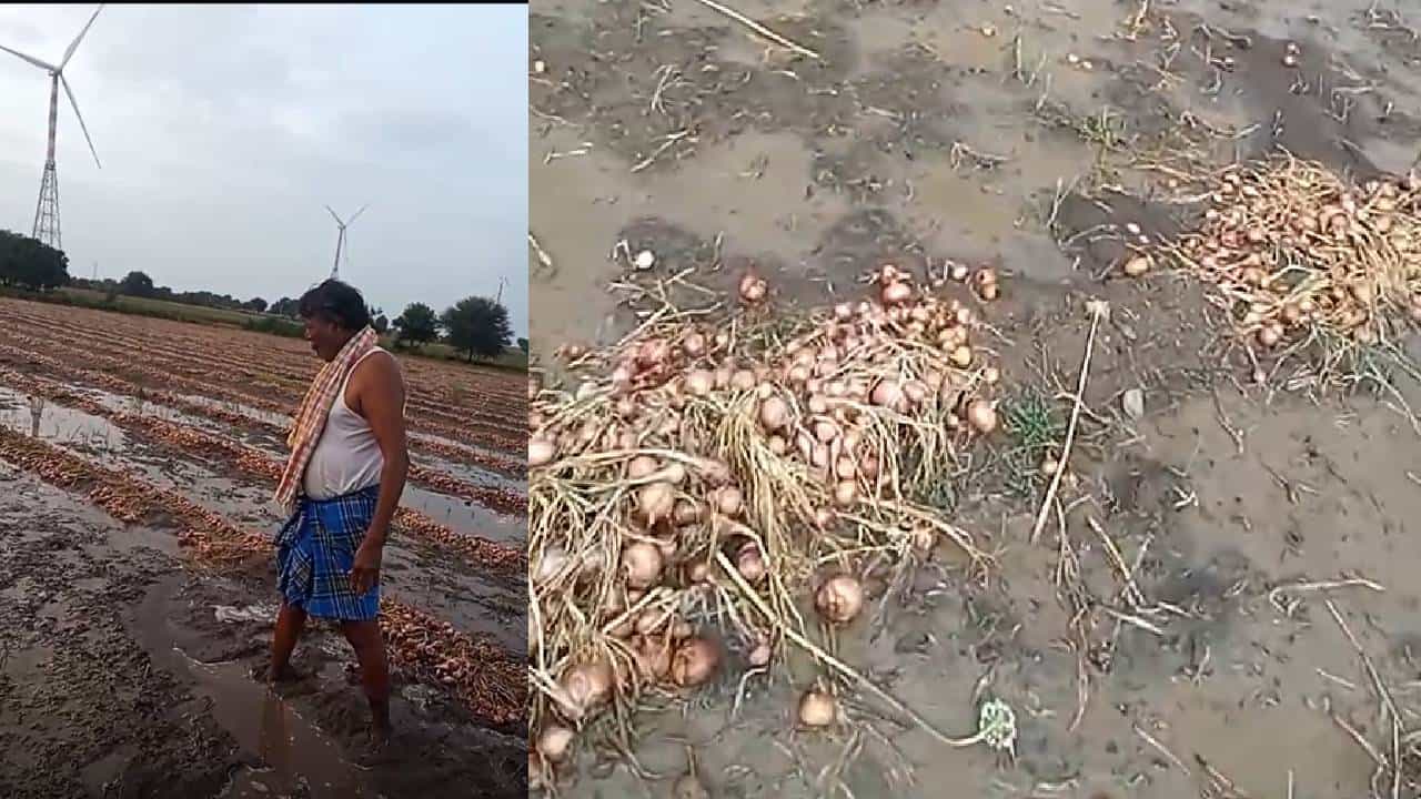 ಕೊಪ್ಪಳ ಮಳೆ: ಉತ್ತಮ ಬೆಲೆ ನಡುವೆ ನೀರು ಪಾಲಾದ ಈರುಳ್ಳಿ, ಕಣ್ಣೀರು ಹಾಕುತ್ತಿರುವ ರೈತ ಕೊಪ್ಪಳ ಮಳೆ: ಉತ್ತಮ ಬೆಲೆ ನಡುವೆ ನೀರು ಪಾಲಾದ ಈರುಳ್ಳಿ, ಕಣ್ಣೀರು ಹಾಕುತ್ತಿರುವ ರೈತ