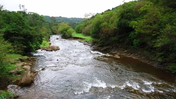 ಮಹದಾಯಿ ಯೋಜನೆ: ಅರಣ್ಯ ಭೂಮಿ ಬೇರೆಡೆ ವಿನಿಯೋಗಿಸಲು ಕೇಂದ್ರಕ್ಕೆ ಮನವಿ