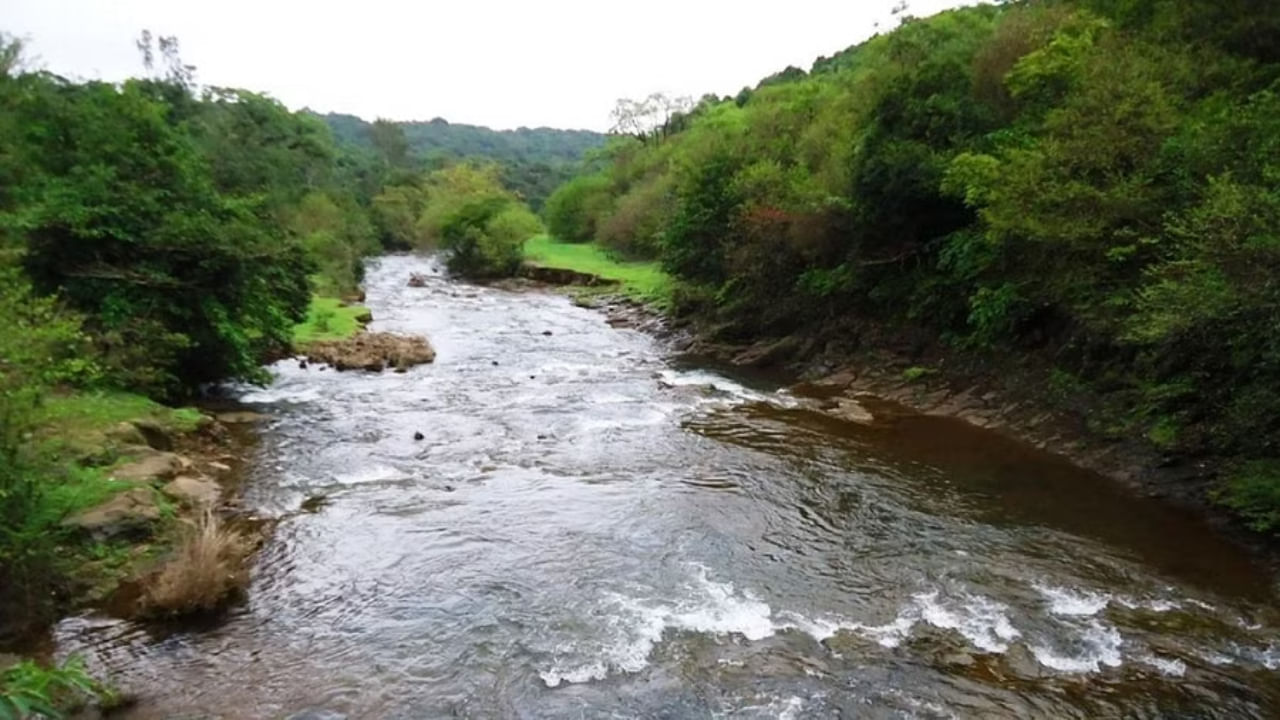 ಮಹದಾಯಿ ಯೋಜನೆಗಾಗಿ ಅರಣ್ಯ ಭೂಮಿಯನ್ನು ಬೇರೆಡೆ ವಿನಿಯೋಗಿಸಲು ಕೇಂದ್ರಕ್ಕೆ ಮನವಿ ಸಲ್ಲಿಸಿದ ರಾಜ್ಯ ಸರ್ಕಾರ