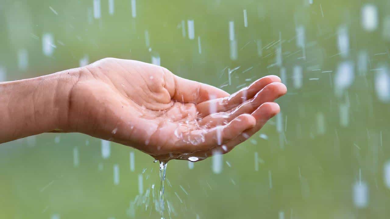 Karnataka Weather: ಬೆಂಗಳೂರು ಸೇರಿ ರಾಜ್ಯದ 15ಕ್ಕೂ ಹೆಚ್ಚು ಜಿಲ್ಲೆಗಳಲ್ಲಿ ಮುಂದಿನ 24 ಗಂಟೆಯೊಳಗೆ ಧಾರಾಕಾರ ಮಳೆ Karnataka Weather: ಬೆಂಗಳೂರು ಸೇರಿ ರಾಜ್ಯದ 15ಕ್ಕೂ ಹೆಚ್ಚು ಜಿಲ್ಲೆಗಳಲ್ಲಿ ಮುಂದಿನ 24 ಗಂಟೆಯೊಳಗೆ ಧಾರಾಕಾರ ಮಳೆ