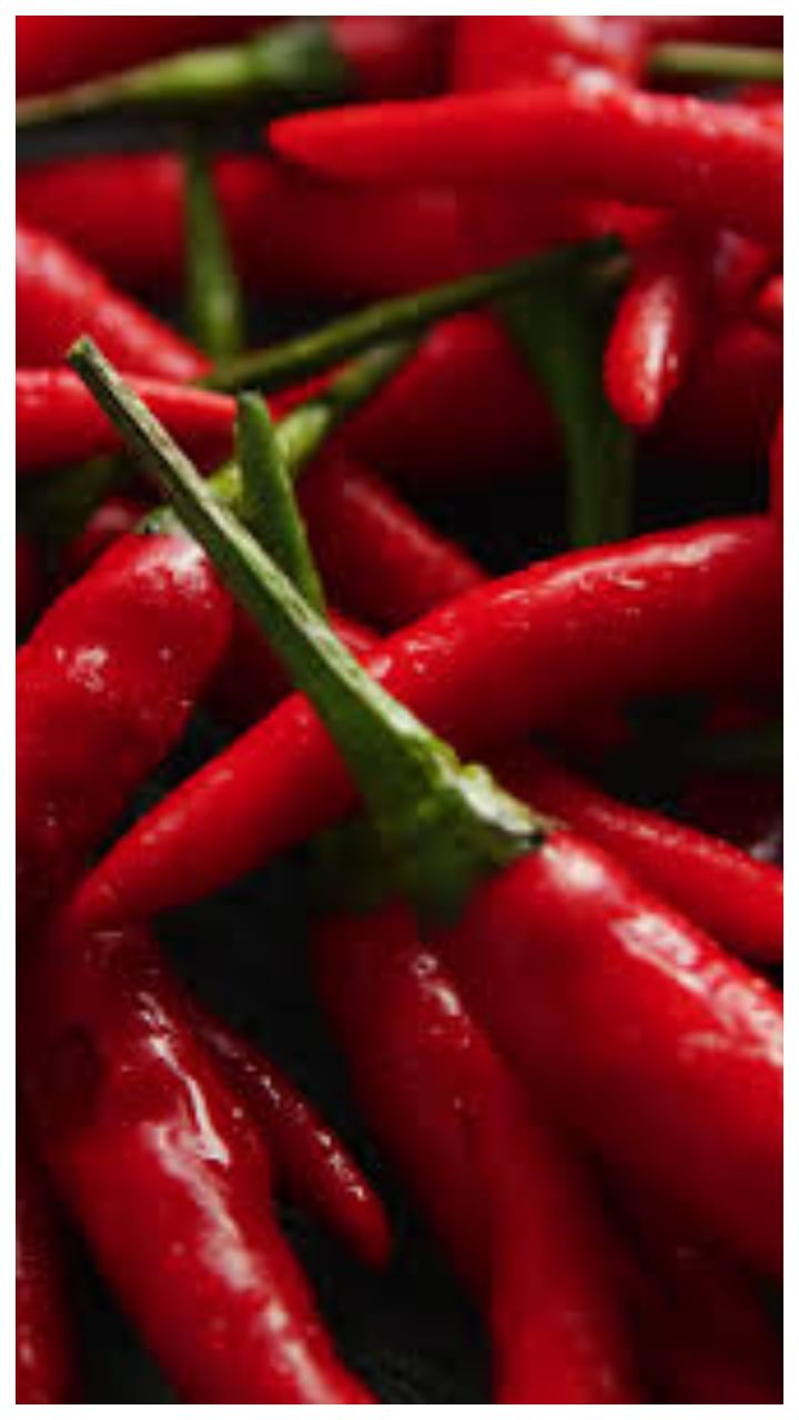red chili (3)