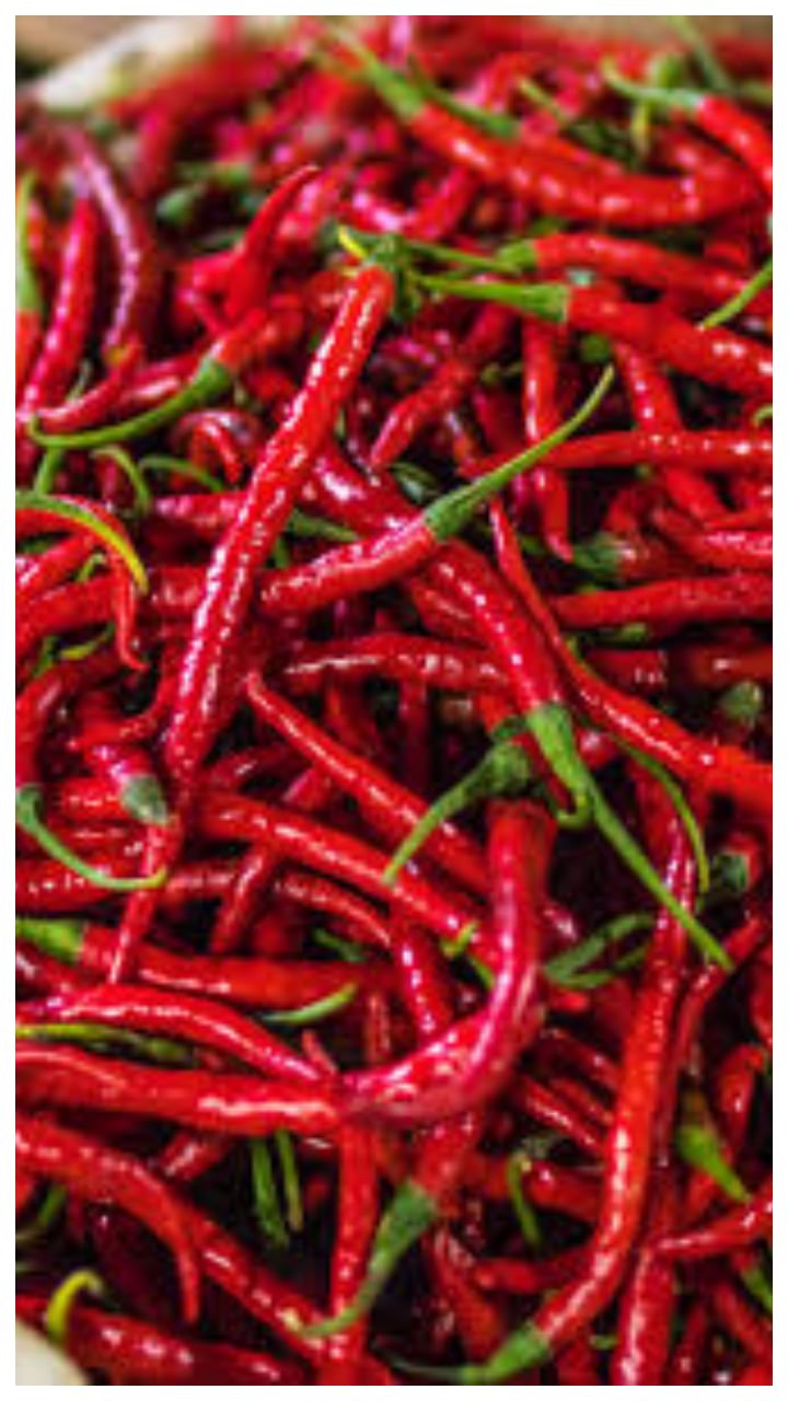 Red chilli