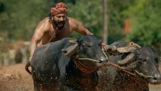 ತೆಲುಗು ಯುವನಟನ ‘ಹರೋಮ್ ಹರ’ ಸಿನಿಮಾ ಟೀಸರ್ ರಿಲೀಸ್ ಮಾಡಲಿರುವ ಸುದೀಪ್