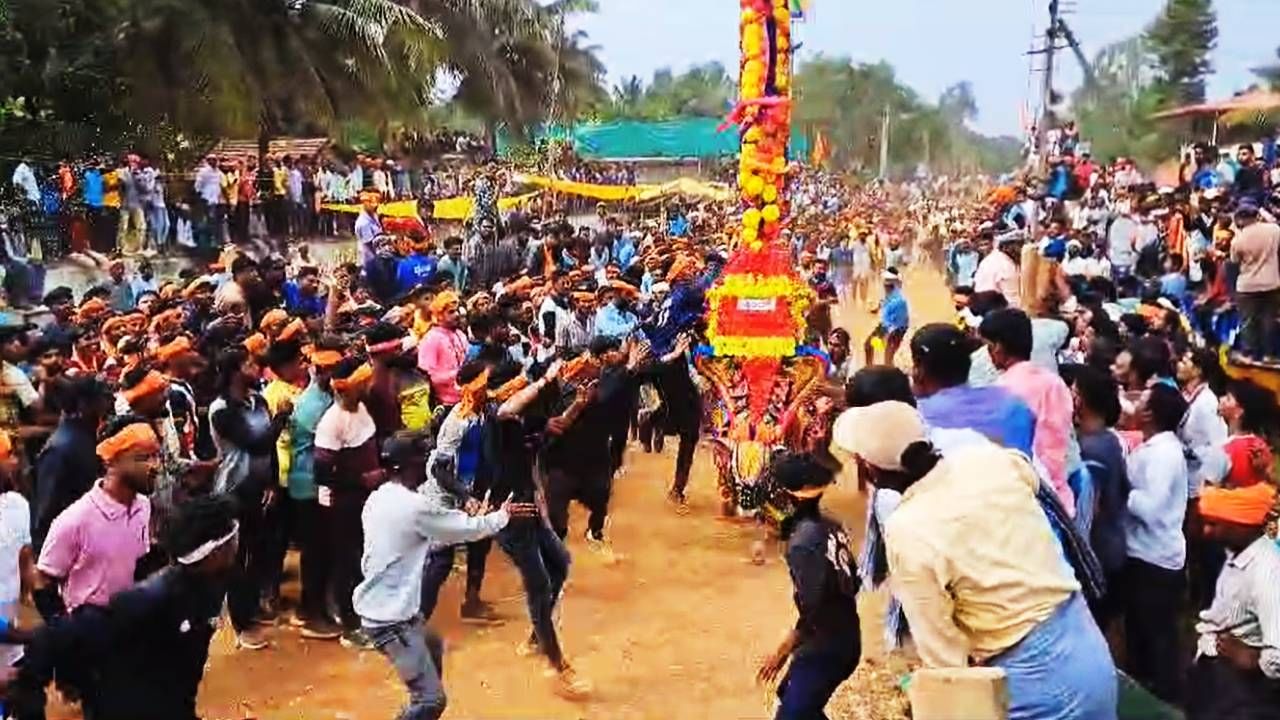 ಶಿವಮೊಗ್ಗದ ಅರೆ ಮಲೆನಾಡು ಭಾಗದಲ್ಲಿ ಹೋರಿ ಹಬ್ಬದ ಸಂಭ್ರಮ; ಇಲ್ಲಿದೆ ವಿಡಿಯೋ