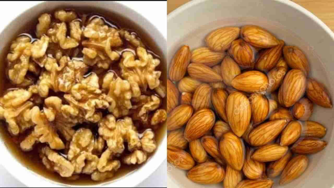 Soaked walnuts vs soaked almonds: ನೆನೆಸಿದ ವಾಲ್ನಟ್ ಮತ್ತು ಬಾದಾಮಿಯಲ್ಲಿ ಯಾವುದು ನಿಮಗೆ ಆರೋಗ್ಯಕರ?