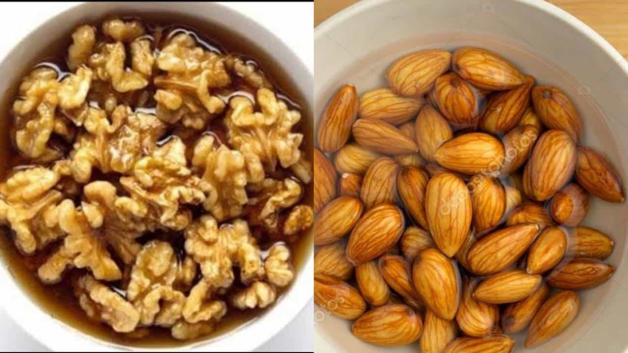 Soaked walnuts vs soaked almonds: ನೆನೆಸಿದ ವಾಲ್ನಟ್ ಮತ್ತು ಬಾದಾಮಿಯಲ್ಲಿ ಯಾವುದು ನಿಮಗೆ ಆರೋಗ್ಯಕರ? Soaked walnuts vs soaked almonds: ನೆನೆಸಿದ ವಾಲ್ನಟ್ ಮತ್ತು ಬಾದಾಮಿಯಲ್ಲಿ ಯಾವುದು ನಿಮಗೆ ಆರೋಗ್ಯಕರ?