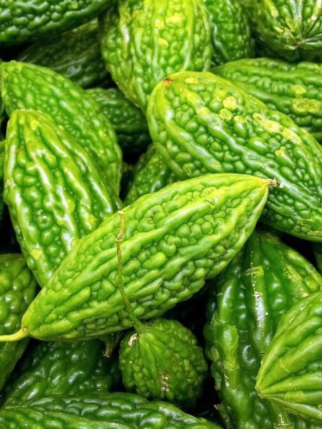 ಹಾಗಲಕಾಯಿ ಸಿಪ್ಪೆಯಲ್ಲಿಯೂ ಇದೆ ಸಾಕಷ್ಟು ಆರೋಗ್ಯ ಪ್ರಯೋಜನ Kannada News Surprising health benefits of