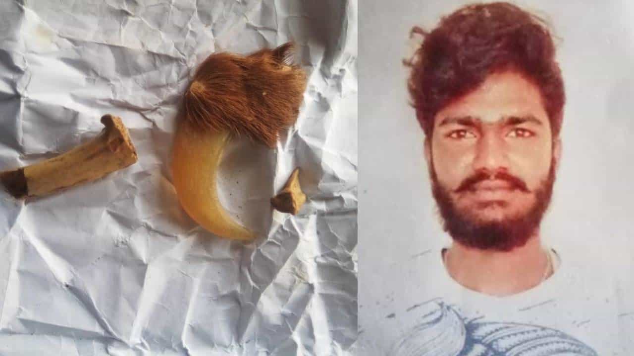 ಚಿಂತಾಮಣಿ: ಶಂಕಿತ ಹುಲಿ ಉಗುರು ಪತ್ತೆ; ಯುವಕ ಪರಾರಿ ಚಿಂತಾಮಣಿ: ಶಂಕಿತ ಹುಲಿ ಉಗುರು ಪತ್ತೆ; ಯುವಕ ಪರಾರಿ