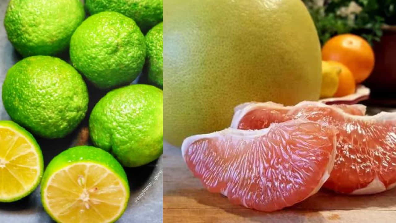 Fatty Liver: ಕೊಬ್ಬಿದ ಯಕೃತ್ತು ಅಥವಾ ಪಿತ್ತಜನಕಾಂಗ ಅನಾರೋಗ್ಯದಿಂದ ಬಳಲುತ್ತಿದ್ದೀರಾ? ಈ ಹಣ್ಣುಗಳನ್ನು ತಿನ್ನಿ Fatty Liver: ಕೊಬ್ಬಿದ ಯಕೃತ್ತು ಅಥವಾ ಪಿತ್ತಜನಕಾಂಗ ಅನಾರೋಗ್ಯದಿಂದ ಬಳಲುತ್ತಿದ್ದೀರಾ? ಈ ಹಣ್ಣುಗಳನ್ನು ತಿನ್ನಿ